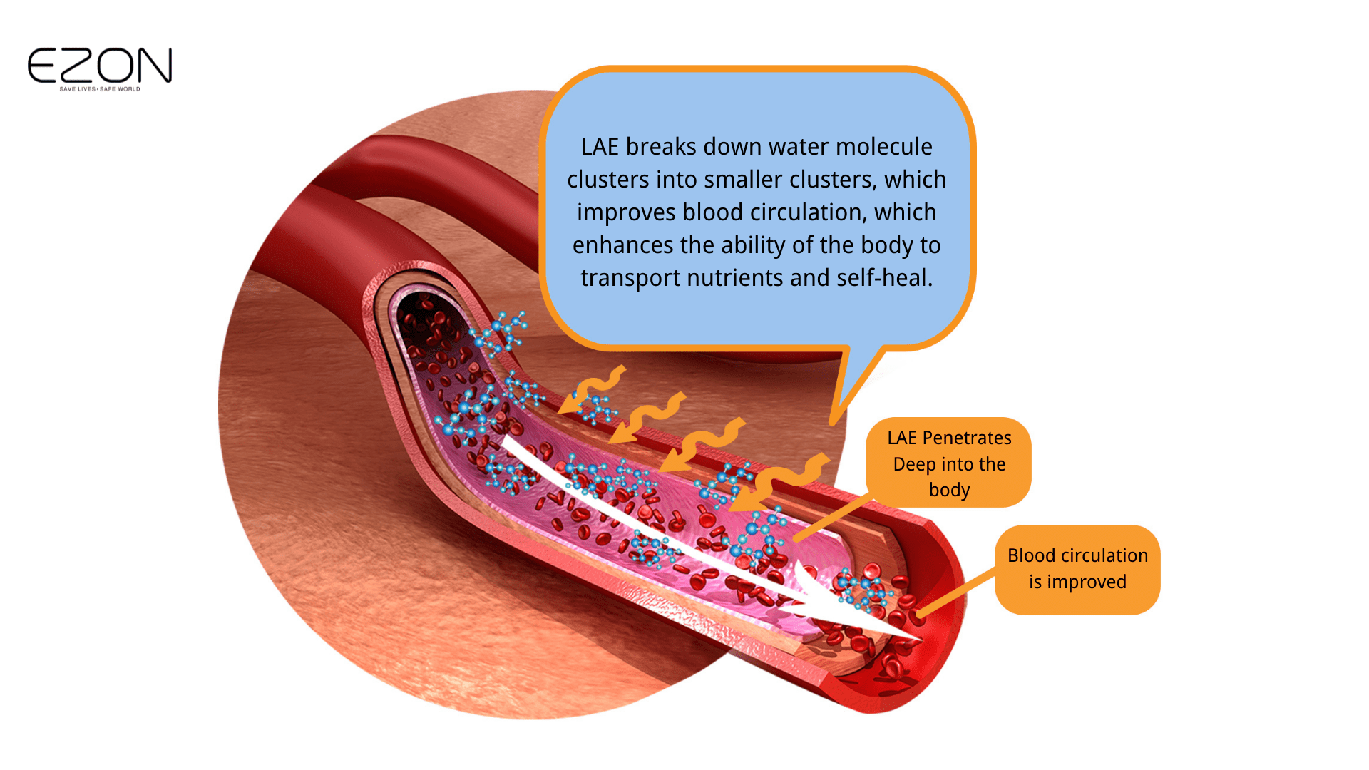 LAE penetrates deeply to heal your body.
